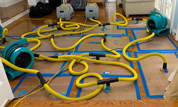 Professional Structural Drying And Dehumidification technician working in Solvang, CA